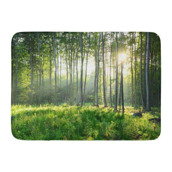 GODPOK Green Beams Brown Alley Morning in The Forest Colorful Autumn Orange Beautiful Rug Doormat Bath Mat 23.6x15.7 inch