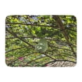 thumbnail image 1 of GODPOK Green Wax Gourd Benincasa Hispida Ash White Tallow Winter Melon Preserving Produce The Fruit Asia Rug Doormat Bath Mat 23.6x15.7 inch, 1 of 1