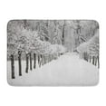 thumbnail image 1 of GODPOK Mountain Black Scene Winter Trees on Snow White Blue Landscape Frosty Rug Doormat Bath Mat 23.6x15.7 inch, 1 of 1