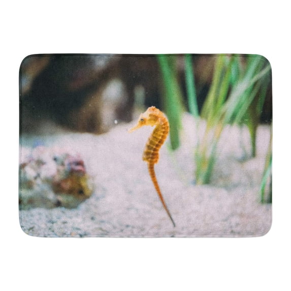 GODPOK Ocean Brown Animal Long Snouted Seahorse Hippocampus Guttulatus Swimming in Aquarium Yellow Atlantic Rug Doormat Bath Mat 23.6x15.7 inch