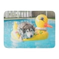 thumbnail image 1 of GODPOK Pet Blue Dog Selective Focus Point Syberien Husky Swimming in The Pool with Swim Ring White Summer Rug Doormat Bath Mat 23.6x15.7 inch, 1 of 1