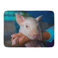 thumbnail image 1 of GODPOK Pink Cute Piglet Portrait on Hands Farm Owner Close Up Eyes of Swine in The Holding Pig White Agriculture Rug Doormat Bath Mat 23.6x15.7 inch, 1 of 1