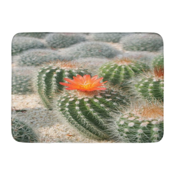 GODPOK Red Bloom Green Close Cactus Flowers Orange Desert Blossom Rug Doormat Bath Mat 23.6x15.7 inch