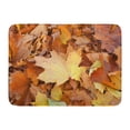 thumbnail image 1 of GODPOK Red Foliage Colorful October Group Autumn Leaves Outdoor Orange Fall Yellow Bright Rug Doormat Bath Mat 23.6x15.7 inch, 1 of 1