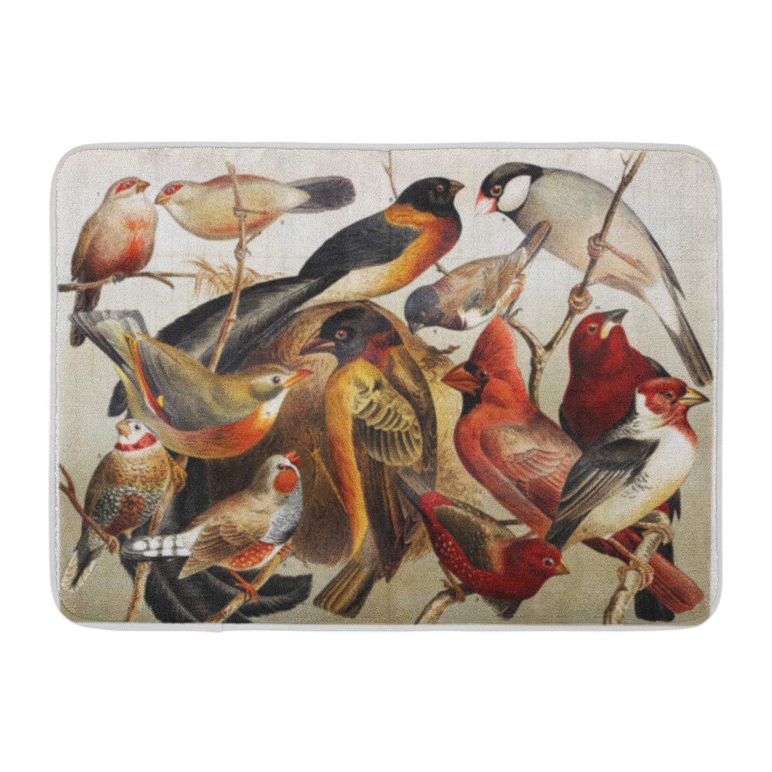 GODPOK Vintage Drawing Representing Exotic Cage Birds at The End of ...