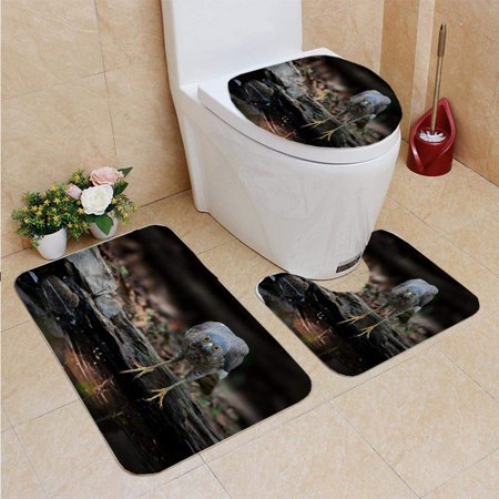 GOHAO Crested Goshawk Bird Looking at Camera 3 Piece Bathroom Rugs Set Bath Rug Contour Mat and Toilet Lid Cover