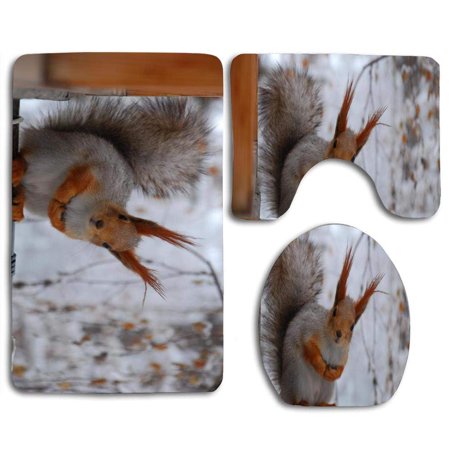 GOHAO Cute Curious Squirrel Winter 3 Piece Bathroom Rugs Set Bath Rug Contour Mat and Toilet Lid Cover