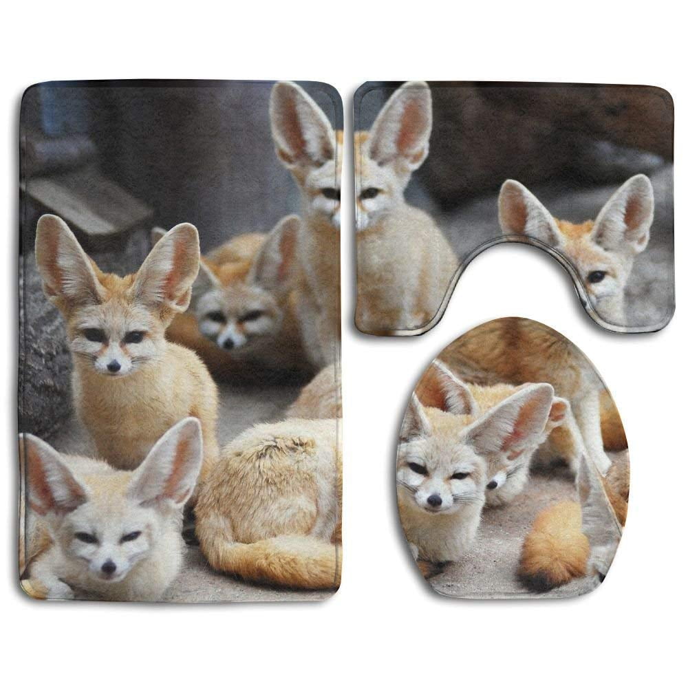 GOHAO Cute Fennec Fox 3 Piece Bathroom Rugs Set Bath Rug Contour Mat ...