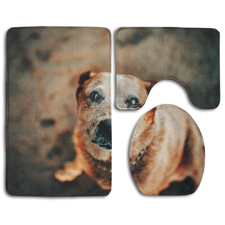 GOHAO Dog Looking at Owner 3 Piece Bathroom Rugs Set Bath Rug Contour Mat and Toilet Lid Cover