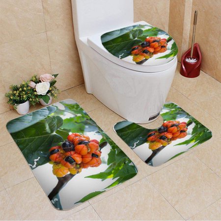 GOHAO Guaran da Amaznia 3 Piece Bathroom Rugs Set Bath Rug Contour Mat and Toilet Lid Cover
