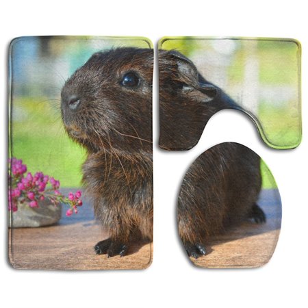 GOHAO Guinea Pig 3 Piece Bathroom Rugs Set Bath Rug Contour Mat and Toilet Lid Cover