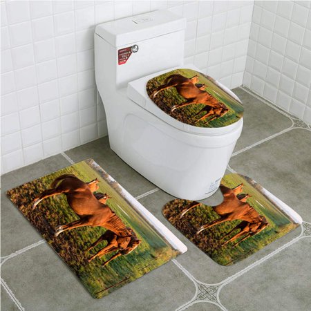 GOHAO Horses at Dawn on Fischland in Germany 3 Piece Bathroom Rugs Set Bath Rug Contour Mat and Toilet Lid Cover
