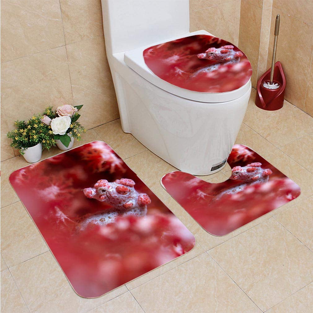 GOHAO Pygmy Seahorse Reef 3 Piece Bathroom Rugs Set Bath Rug Contour ...
