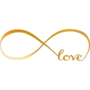 GOLDCHROME MIRROR 22 x 61 Infinity Symbol Word Love Vinyl Art Decal