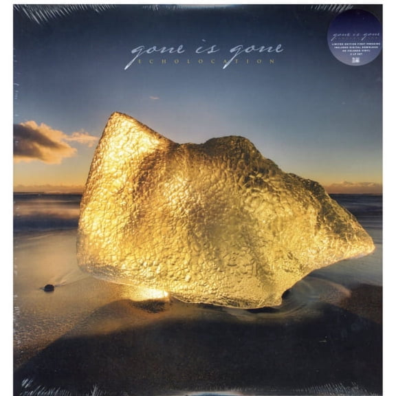GONE IS GONE - Echolocation - Vinyl