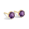 thumbnail image 1 of GOODSTONE JEWELS 925 Sterling Silver Amethyst Solitaire Stud Earrings for Women in Yellow Gold Plated | Prong Set Push Back Stud Earring | Natural Birthstone Jewelry Gift for Her, 1 of 2