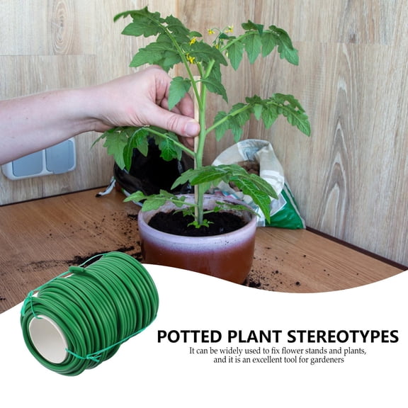 FUTUREORYY Trellis Wire for Climbing Plants Iron 1 Roll for Gardeners