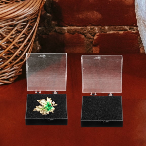 GOOHOCHY  10 Pcs Badge Display Case Jewelry Pin Badges Lapel Staff Black