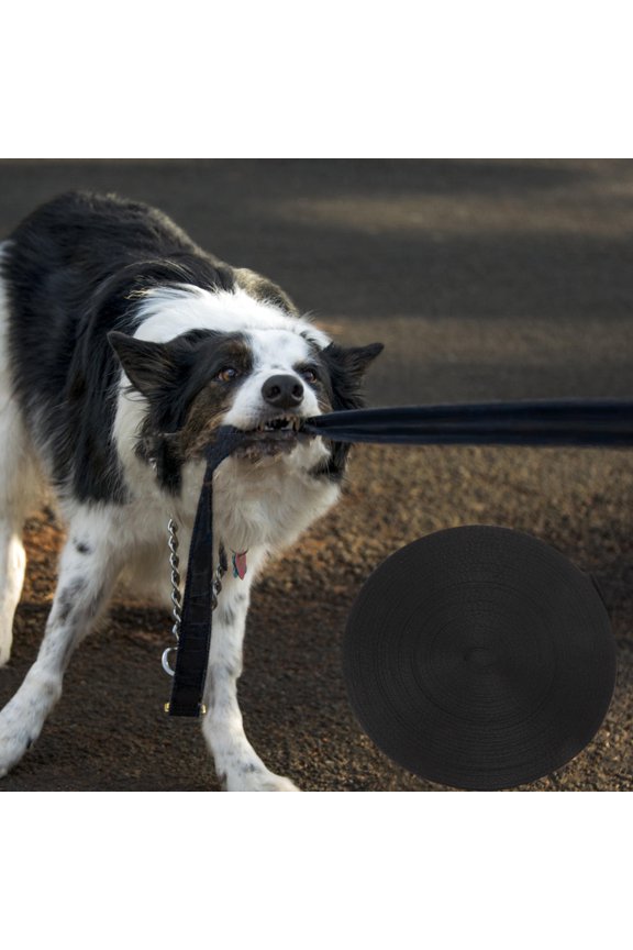 1Pcs Multi-function Nylon Webbing Strap for General Users 50in x 1in