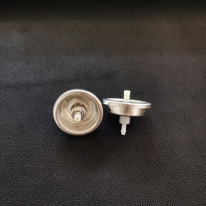 GOOHOCHY 20 Pcs Sprayer Adaptor for Aerosol Can Paint Nozzle Tip Silver ...