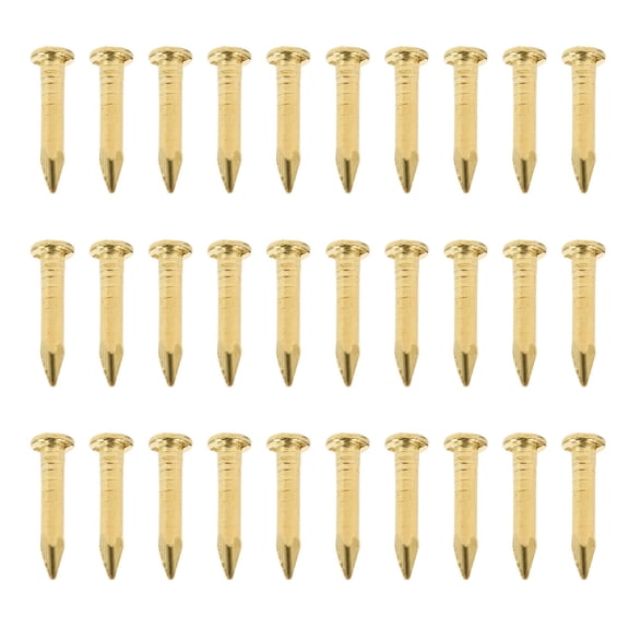 GOOHOCHY  200 Pcs Small Nails for Craft Projects Brass Furniture DIY