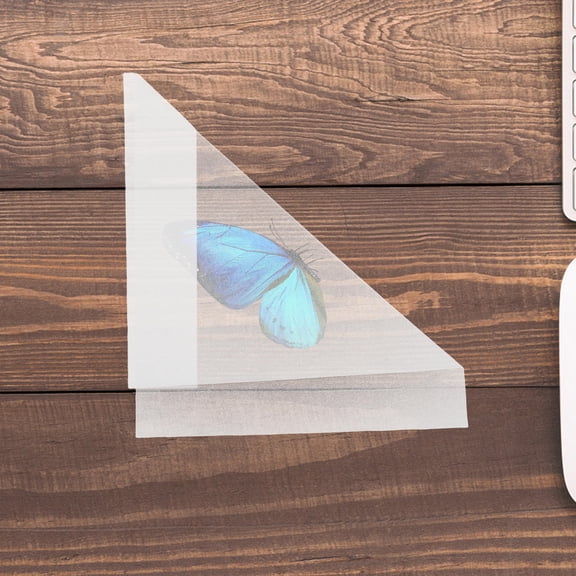 GOOHOCHY 20pcs Specimen Triangle Paper Bags Butterfly Preservation Paper Sample Collection Classroom Science Teaching Temporary Storage Specimen Collecting Envelopes