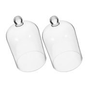 GOOHOCHY 2Pcs Clear Glass Display Domes for Eternal Flower Covers and Versatile Decorative Cloche Use