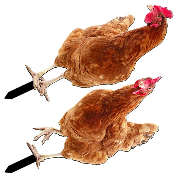 ADDHAT Lawn Stakes Acrylic Brown 2Pcs 11.4X4.4In