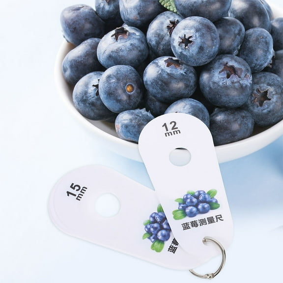 FUEENIRVA Blueberry Diameter Ruler Kitchen Use 2Pcs