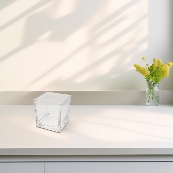 GOOHOCHY 2pcs Clear Square Glass Vases Hydroponic Flower Vases Table Decoration Wedding Centerpiece Transparent Glass Planter for Hydroponic Plants