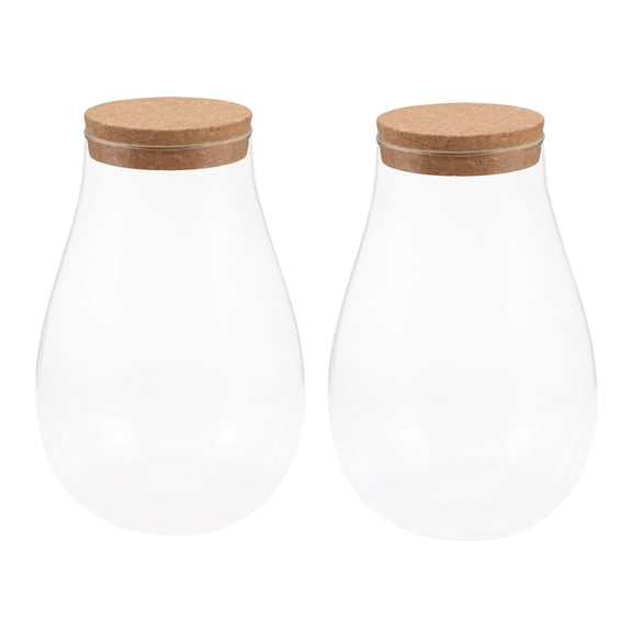 GOOHOCHY 2pcs Empty Terrarium Micro Landscape Bottle Small Ecological Glass Bottle Flower Vase