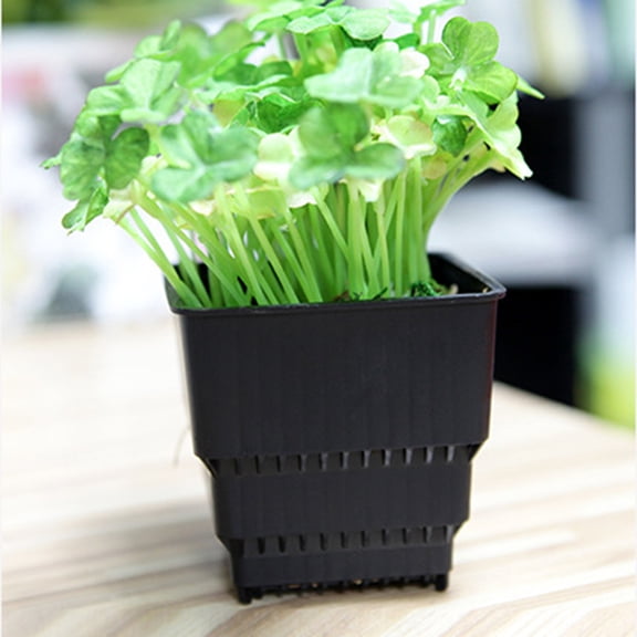FUTUREORYY Mini Bonsai Pots Plastic for Room Ornament 3Pcs 2.5X2.4X2.4In
