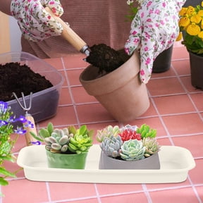 FUTUREORYY Set of 3 Beige Plastic Rectangular Drainage Plates for Potted Plants Water Trays, and Lightweight