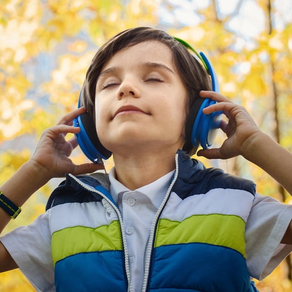 GOOHOCHY  30 Pcs Foam Tips Sponge Headphone Case Ear Cushions Replacement