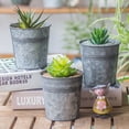 thumbnail image 1 of GOOHOCHY 3Pcs Antique Iron Flower Containers for Home Decor 4.1X4.1X4.1in, 1 of 8