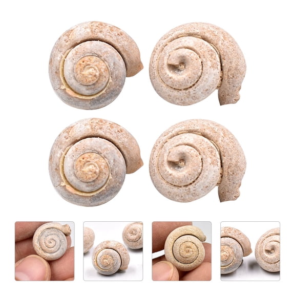 GOOHOCHY Snail Khaki 4Pcs Spiral Shell Shape