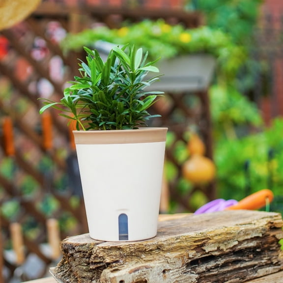 GOOHOCHY Watering Pot Resin Round Shape Promote Plant Growth 5Pcs 5.7X4.9In
