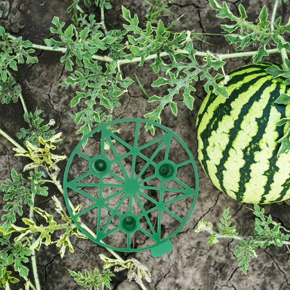 GOOHOCHY 5pcs Fruit Support Melon Cradle Reusable Watermelon Holder Garden Raspberry Trellis Pumpkin Cradle Plant Support Fruit Trellis Melon Holder
