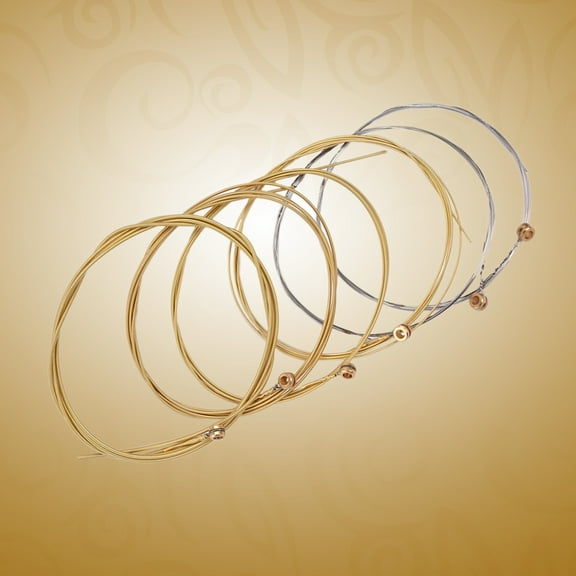 GOOHOCHY 6 PCS/ Set Assorted Sizes Steel Guitar Strings for 6 String Folk Acoustic Guitar 0.3mm 0.41mm 0.61mm 0.81mm 1.71mm 1.35mm