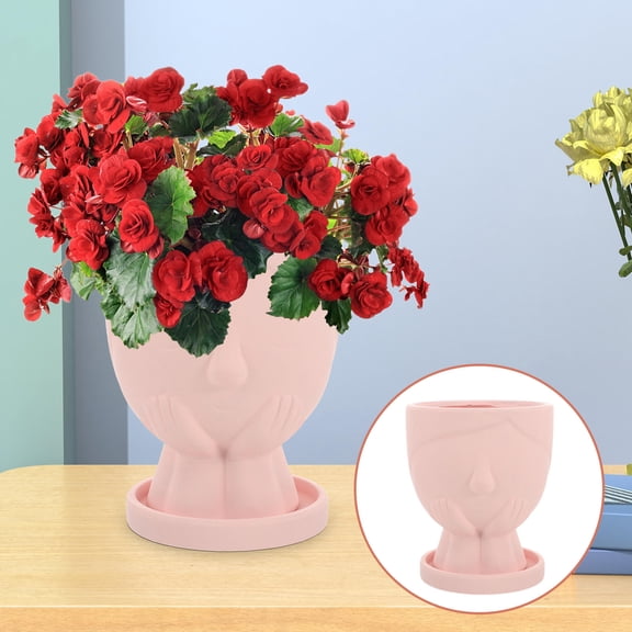 FUTUREORYY Abstract Planter Planter Pot Ceramic Pink Purple Office Decor Simple and Practical 1Pack