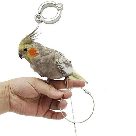 GOOHOCHY Bird Leash With Anklet Ring Bird Harness Foot Chain Anti-Biting Parrot Harness Pet Bird Foot Ring For Birds Outdoor Training And Walking