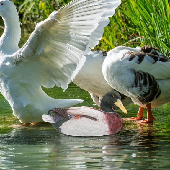 GETAJGHSD Goohochy Realistic Floating Duck Figurine for Garden Ponds and Water Features