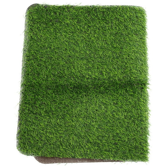 GOOHOCHY Green NonSkid Polypropylene Fiber Door Mat with Scraper Function for Home Use 2 cm Thickness