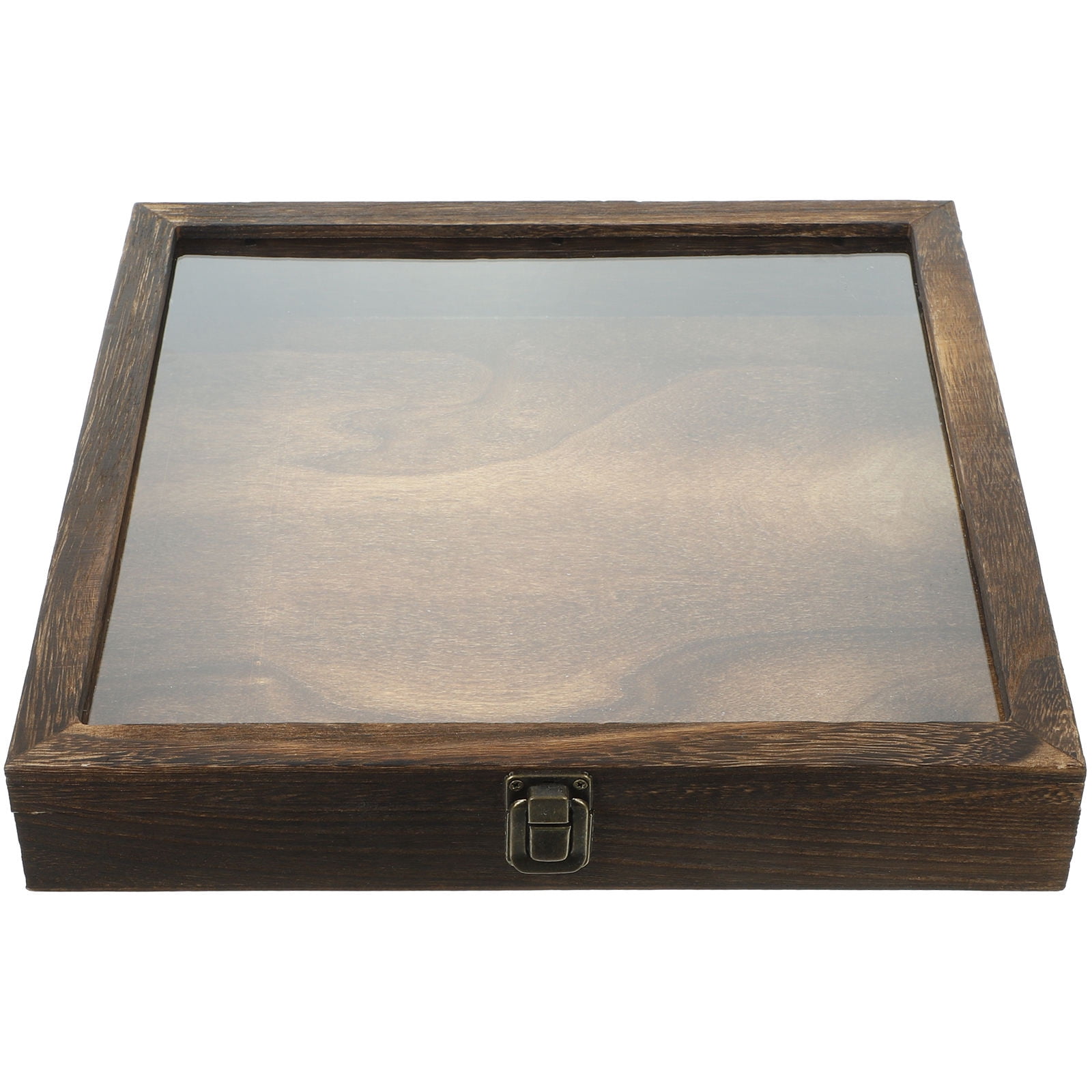 GOOHOCHY Light Brown Acrylic Insect Display Case with Transparent ...