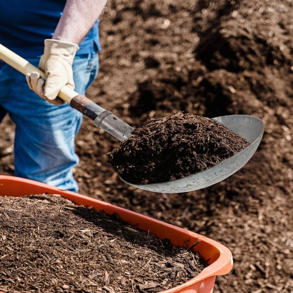 GOOHOCHY Outdoor Much Cleaning Scoops Dung Scoop 23.00X23.00X6.00CM