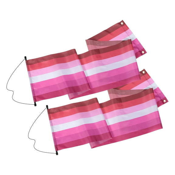 GOOHOCHY Party Rainbow Flag Couplet Outdoor Events Decoration Pride Banners 180x30cm Pink