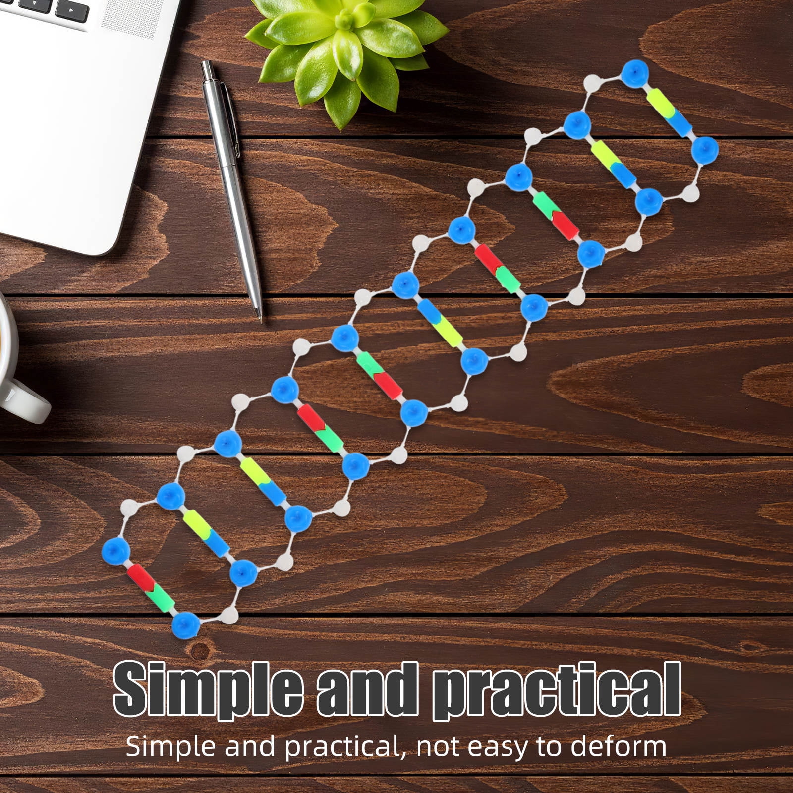 GOOHOCHY Practical Science Class Dna Model Double Strand Model For