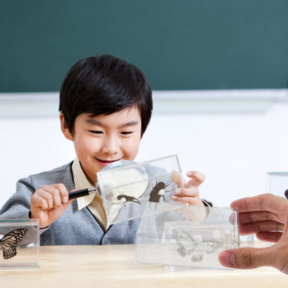 GOOHOCHY Rectangle Storage Box Empty Display Case Multifunctional Storage Holder Transparent Specimen Storage Holder Indoor Display Box