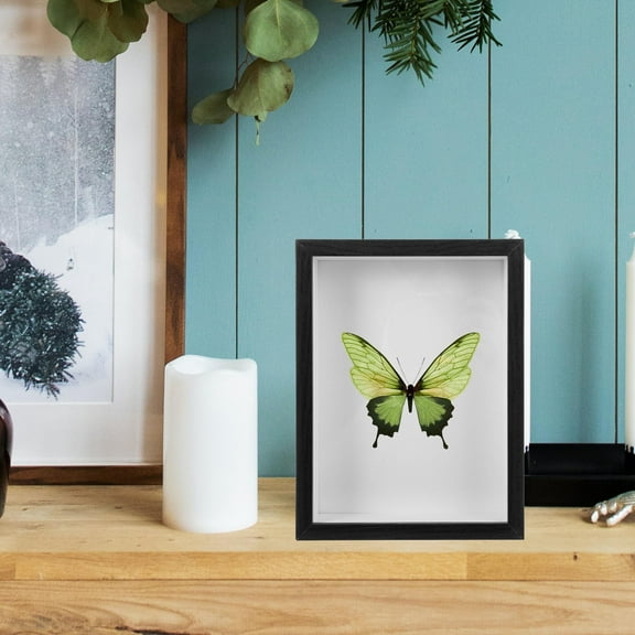 GOOHOCHY  Shadow Boxes Display Cases Insect Specimen Frame Photo Table