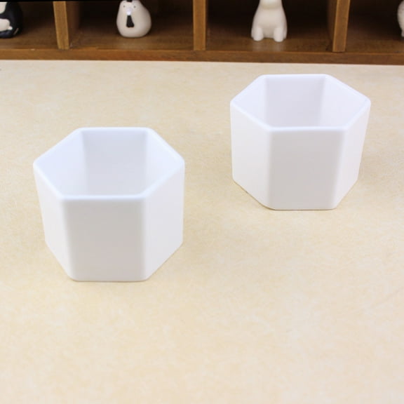 GOOHOCHY Small Plant Pot Hexagonal Flowerpot Miniature Succulent